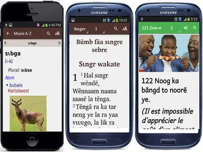 DIC & BIB & PROV moore.jpg